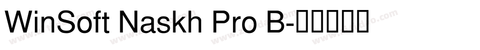 WinSoft Naskh Pro B字体转换